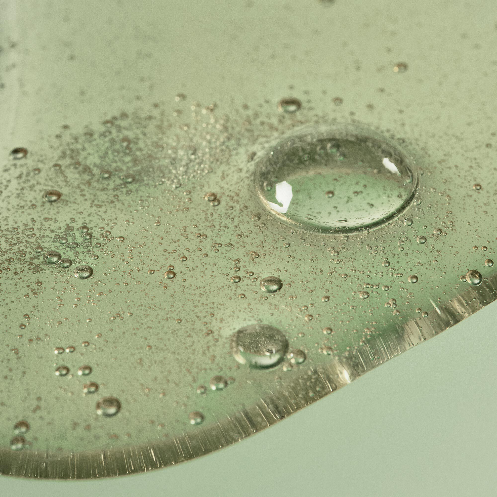 Parsley Seed Facial Cleanser