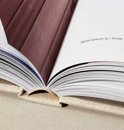 How to use Aesop the book