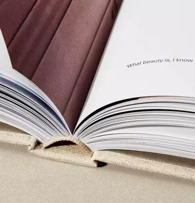 How to use Aesop the book