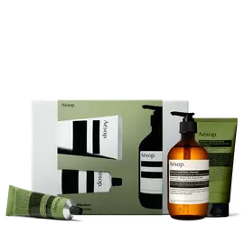 An amber pump bottle and two green tubes, one lying
                        down, are arranged before an olive-green and silver-grey Aesop box.