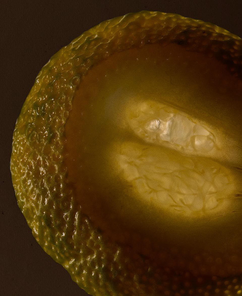 Macro view of a halved citrus fruit with glistening pulp and textured rind.