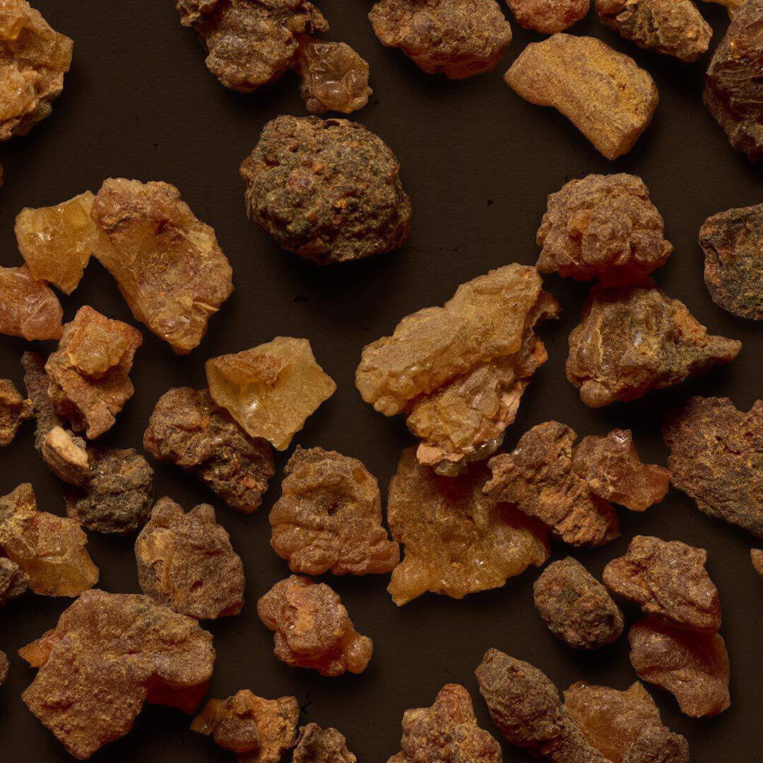 Close-up of rough amber and brown resin pieces scattered on a dark surface.